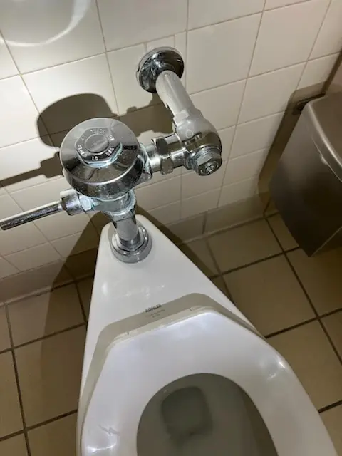 Fixture installation and repair for Garbage Disposal in Hugo